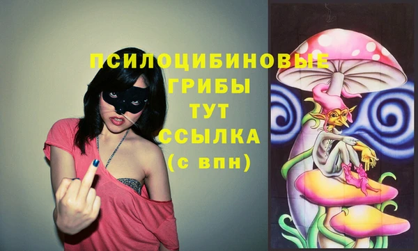 соль ск Алексин