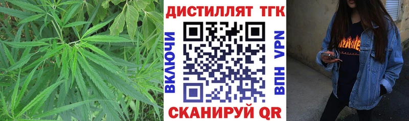 Дистиллят ТГК Wax Болотное