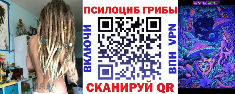 Псилоцибиновые грибы Psilocybine cubensis  Болотное 